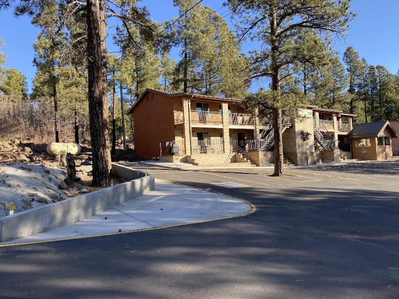 Motel In The Pines image