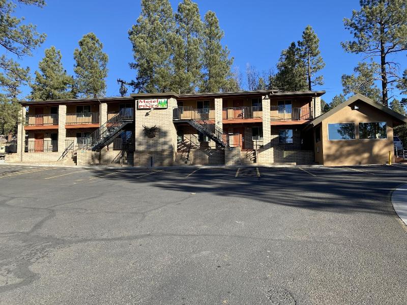 Motel In The Pines image