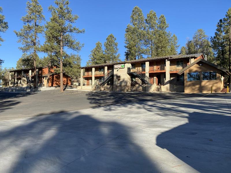 Motel In The Pines image