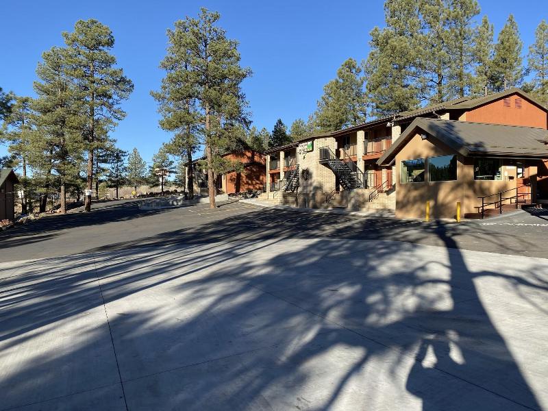 Motel In The Pines image