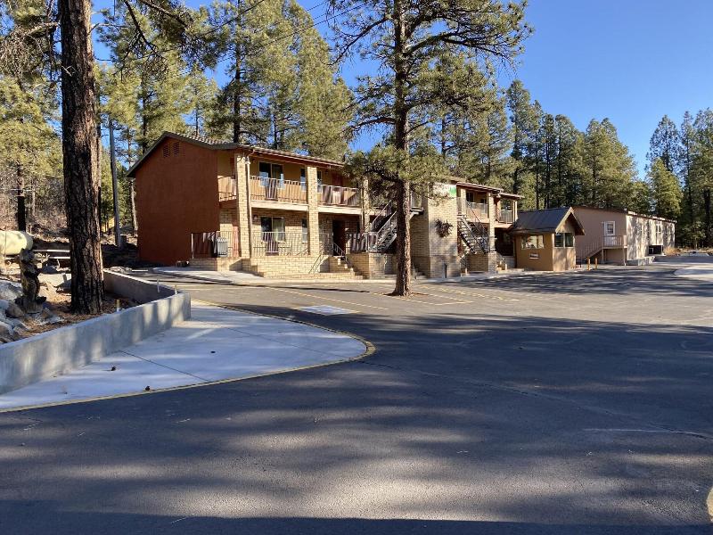 Motel In The Pines image