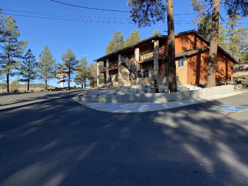 Motel In The Pines image