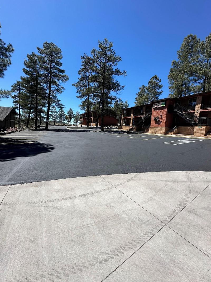 Motel In The Pines image