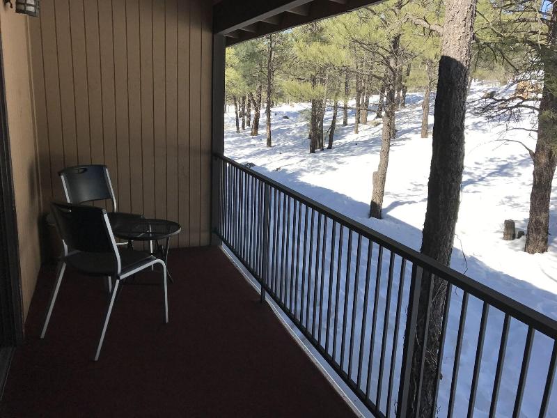 Motel In The Pines image