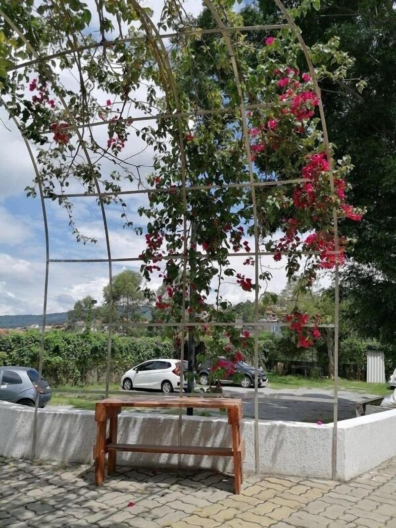 Pousada Top image
