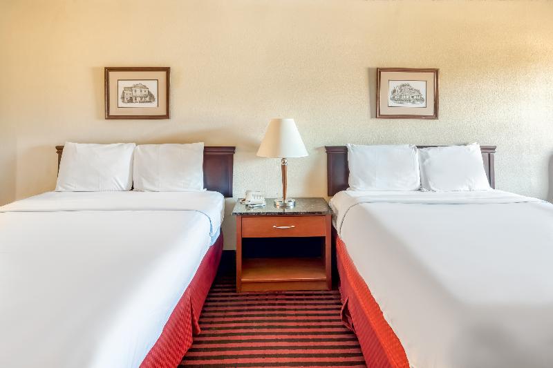 Bed room