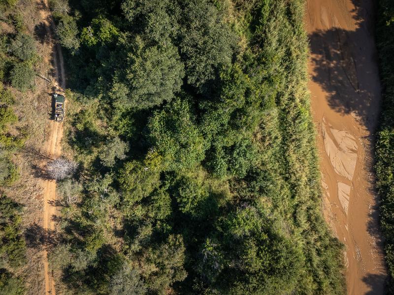Becks Safari Lodge image