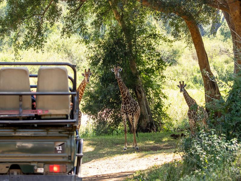 Becks Safari Lodge image