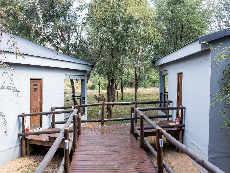 Becks Safari Lodge image