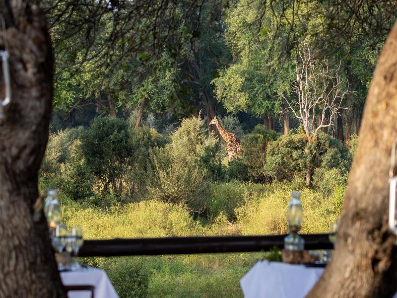 Becks Safari Lodge image