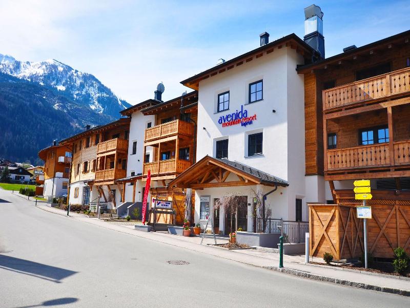 Avenida Mountain Resort image