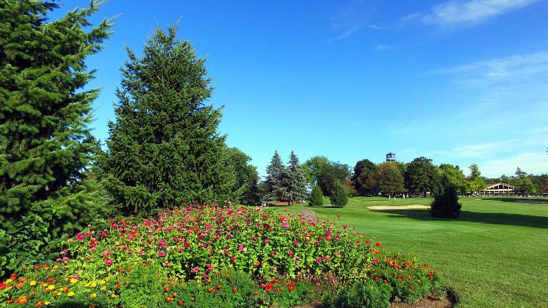 Lake Lawn Resort image
