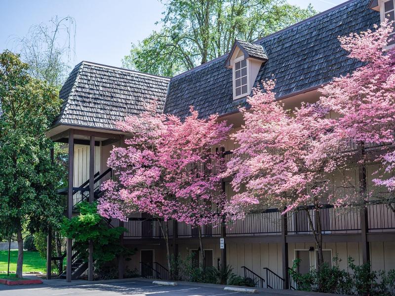 Riverside Inn