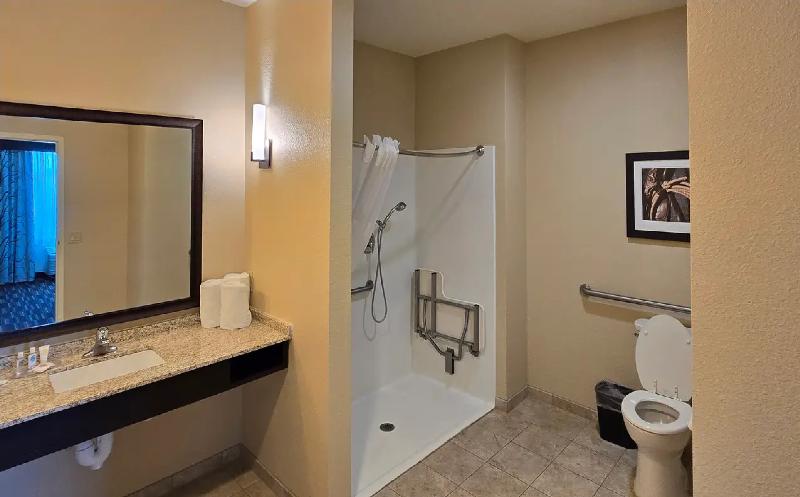 Comfort Inn & Suites image