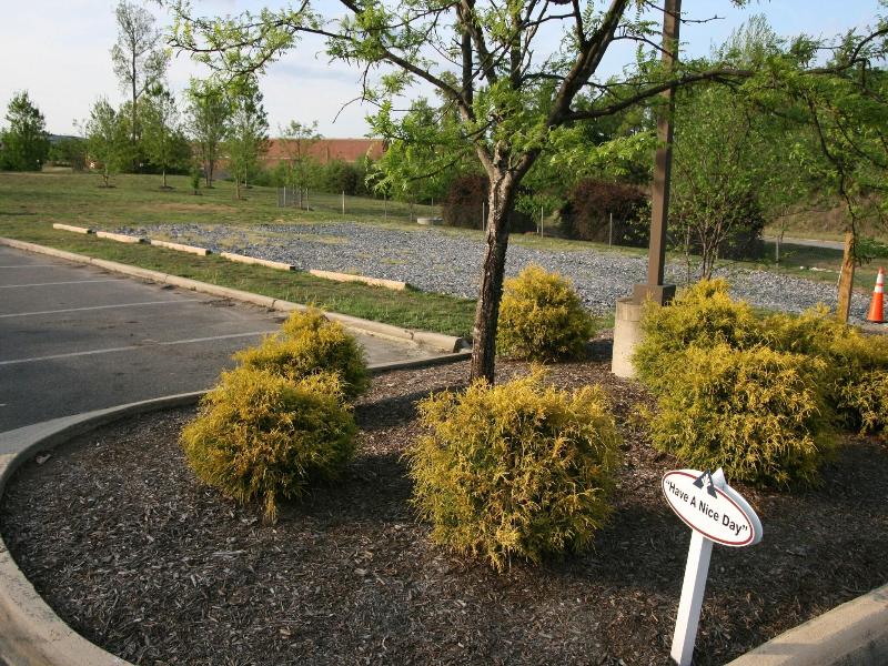 Affordable Suites Fredericksburg image