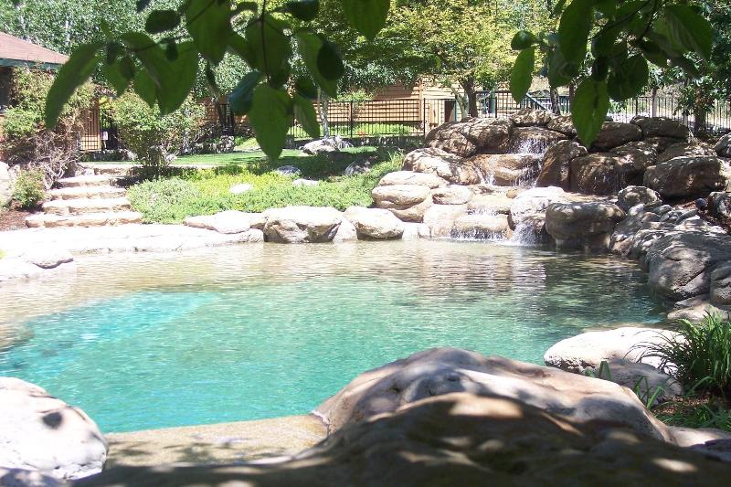 Lazy Z Resort image