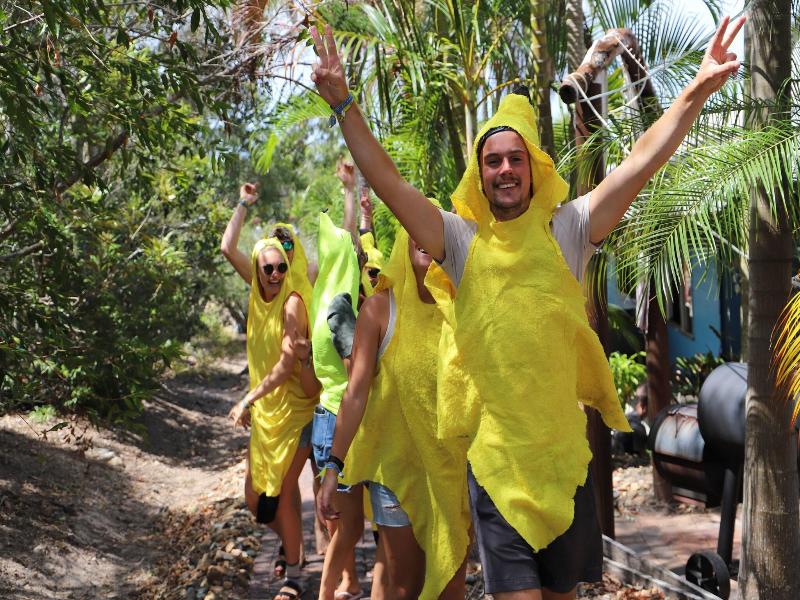 Cool Bananas Backpackers