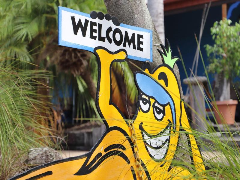 Cool Bananas Backpackers