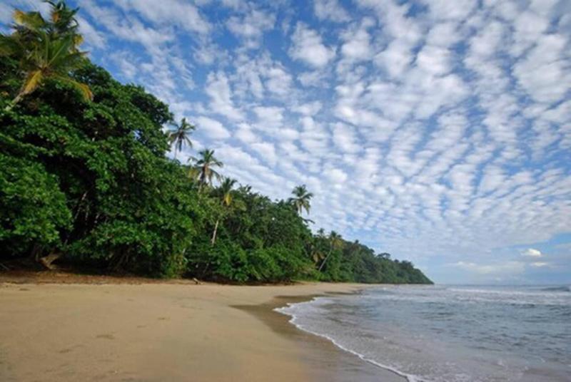 Terrazas Del Caribe image