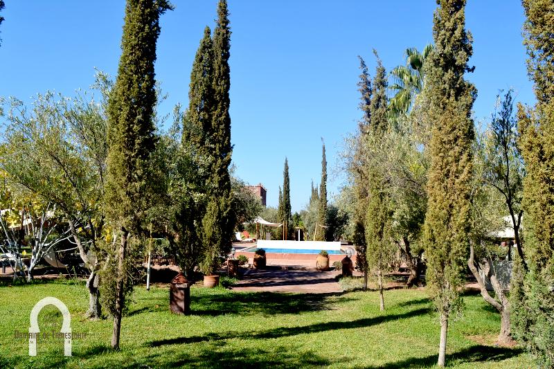 Le Domaine De Tameslohte image