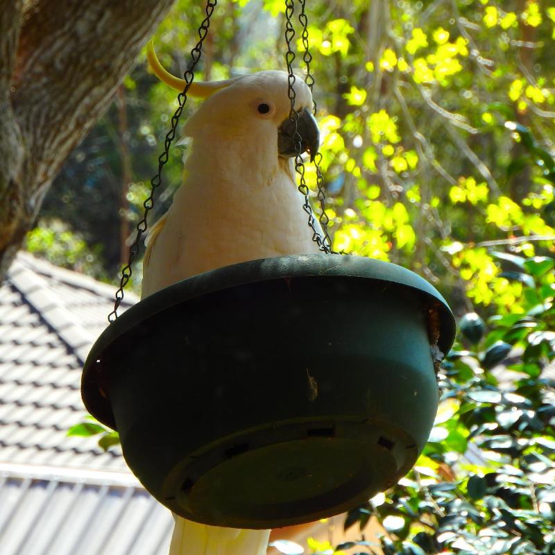 Bowral Road Bed and Breakfast image