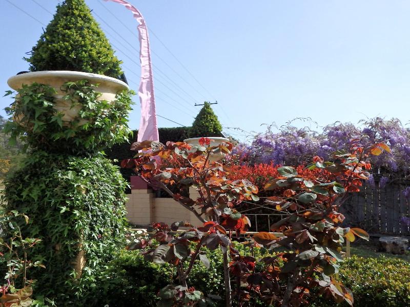 Bowral Road Bed and Breakfast image