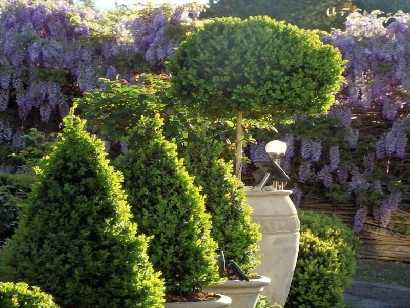 Bowral Road Bed and Breakfast image