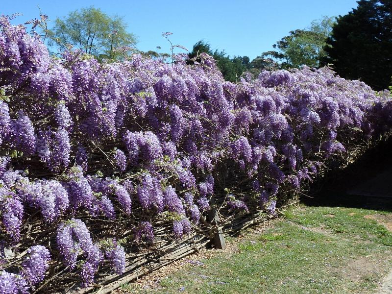 Bowral Road Bed and Breakfast image