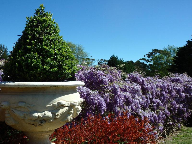 Bowral Road Bed and Breakfast image