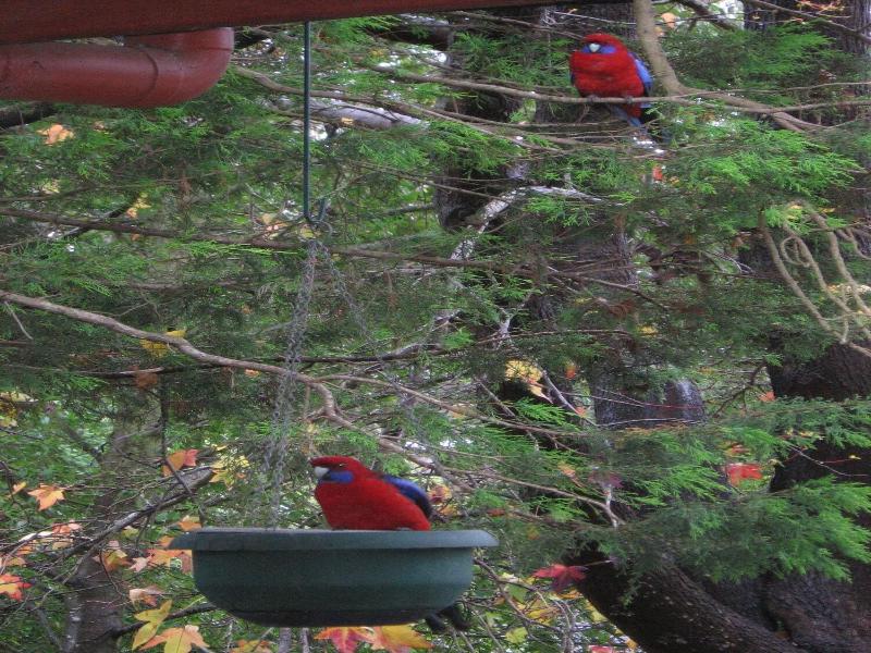 Bowral Road Bed and Breakfast image
