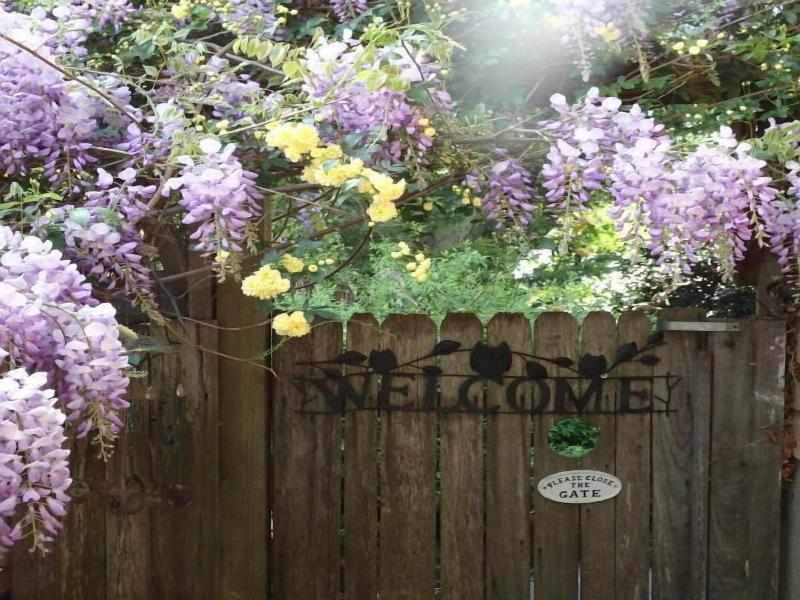 Bowral Road Bed and Breakfast image