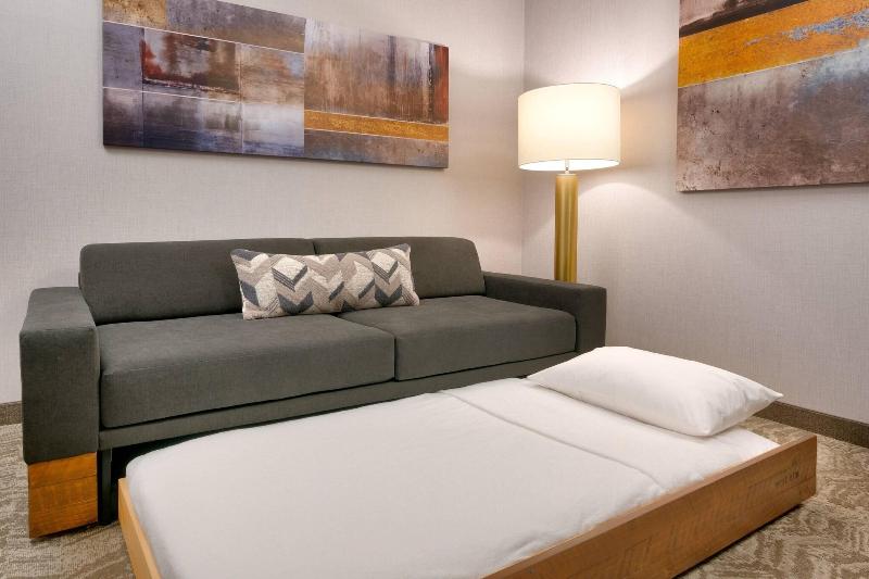 Springhill Suites By Marriott Colorado Springs Nor image