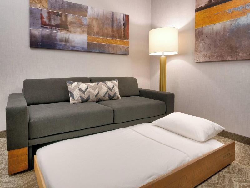 Springhill Suites By Marriott Colorado Springs Nor image