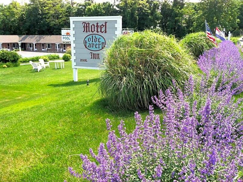 Olde Tavern Motel And Inn image