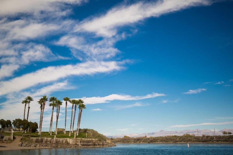 Avi Resort Casino image