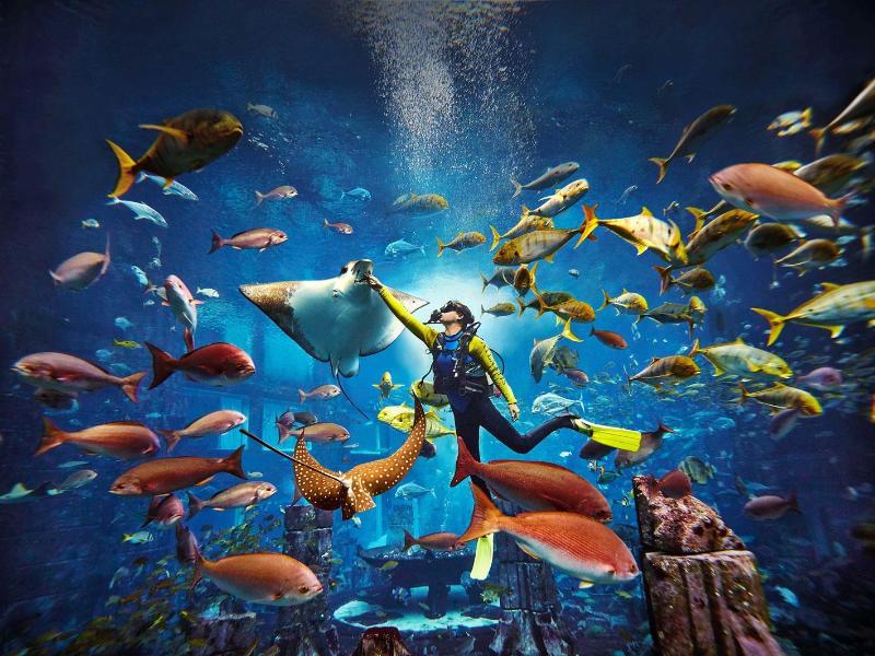 Atlantis, The Royal image