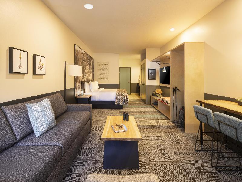 1 King Bed Junior Suite