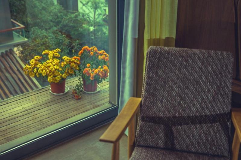 Xihu Memories Tree Hotel image