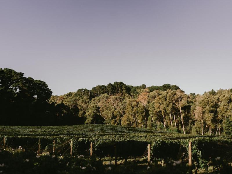 Mantons Creek Estate Lodge image