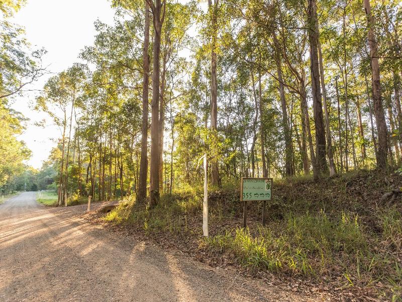 Alaya Verde image