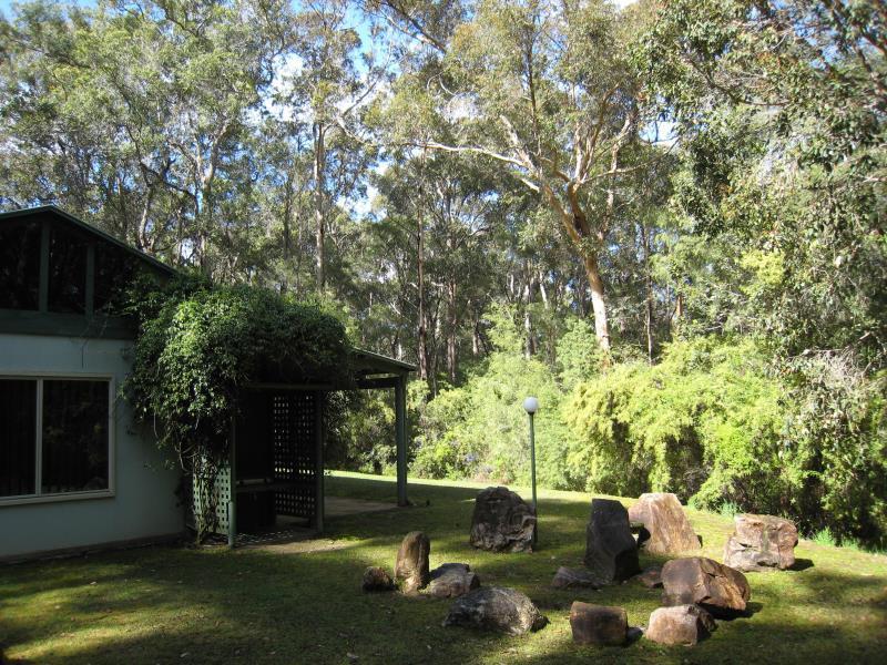 Harmony Forest