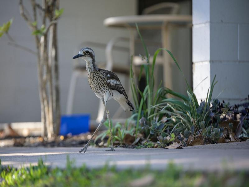 Amaroo On Mandalay Hotel