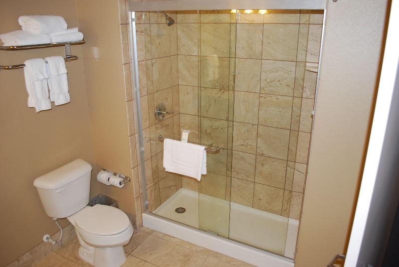 Landmark Suites Williston image