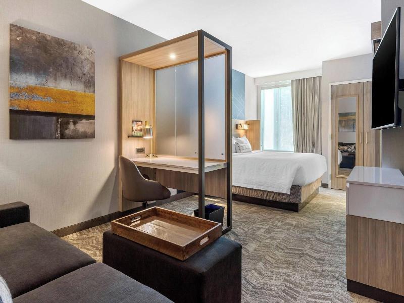 Springhill Suites Charlotte Southwest image