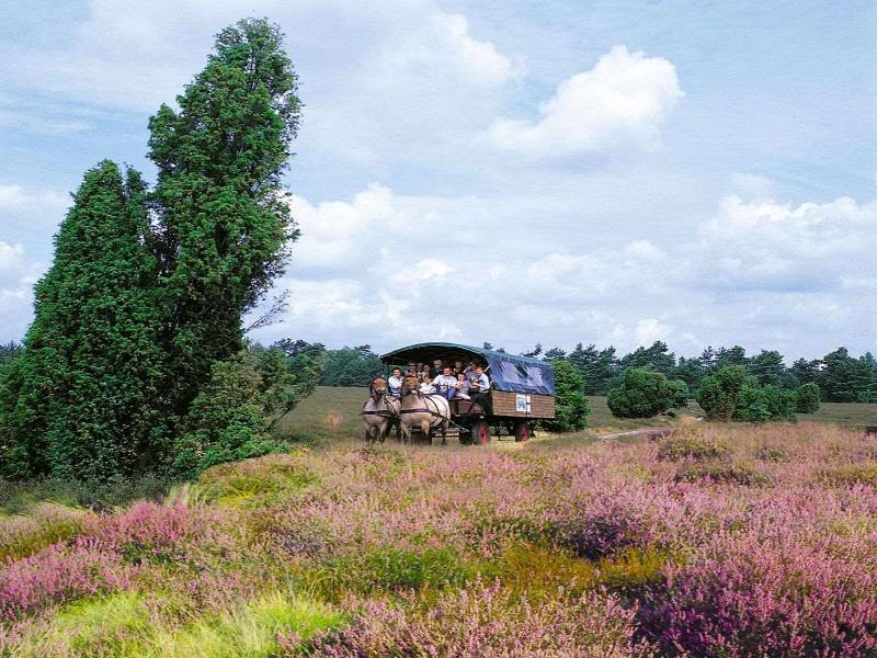 Morada Hotel Heidesee Gifhorn image