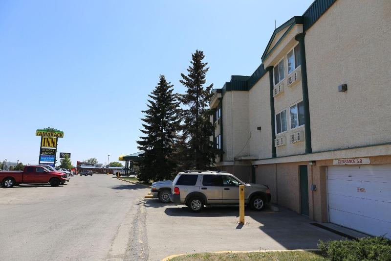 Tamarack Motor Inn — general view