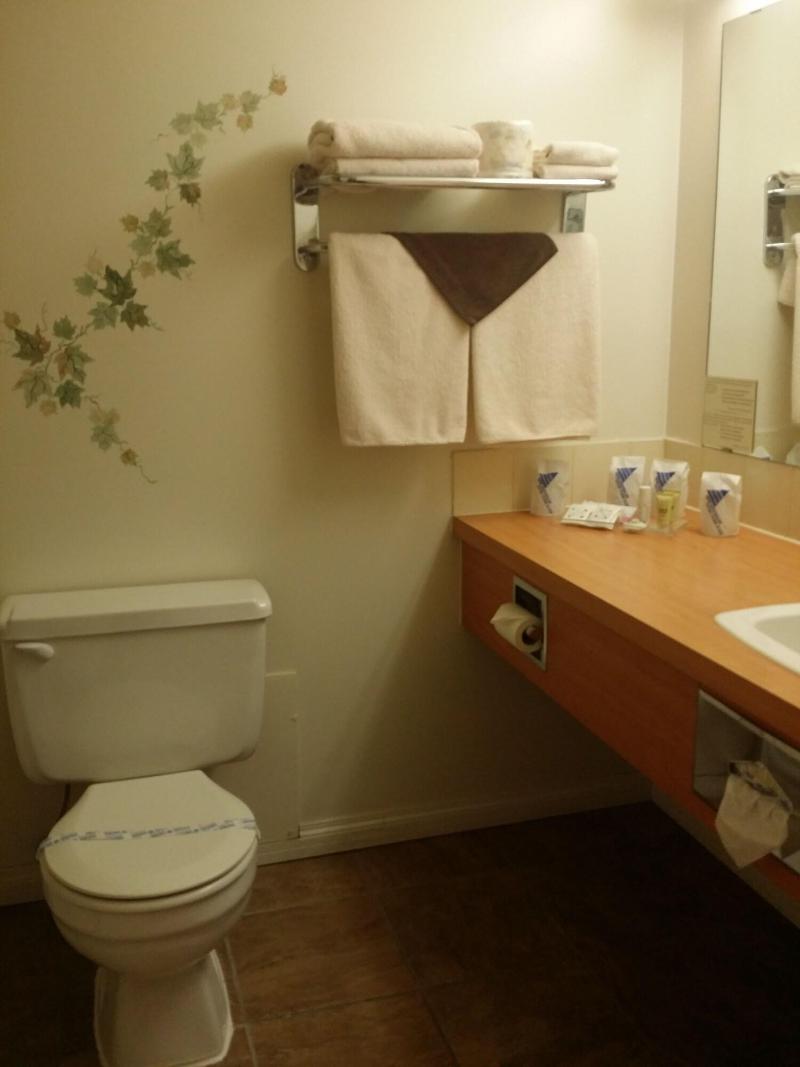 Tamarack Motor Inn image