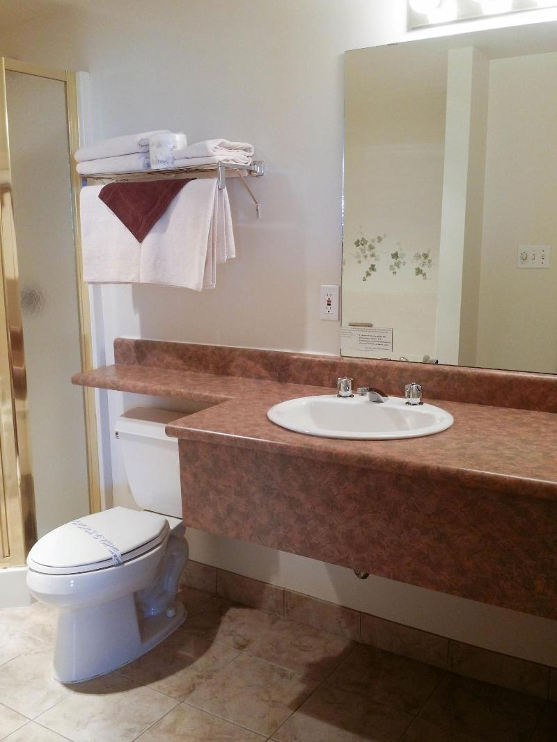 Tamarack Motor Inn image