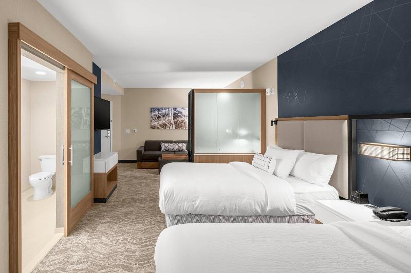 Springhill Suites By Marriott Jackson image