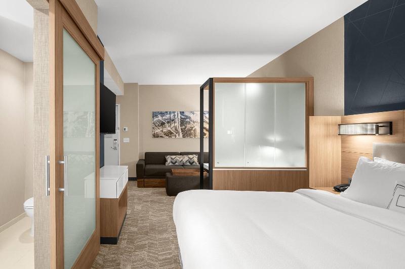 Springhill Suites By Marriott Jackson image